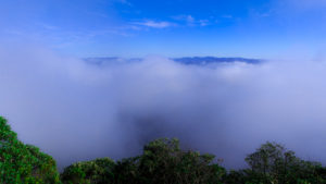 Vista com névoa da metade da trilha para o Pico do Marinzinho